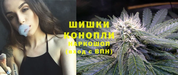 мдпв Няндома